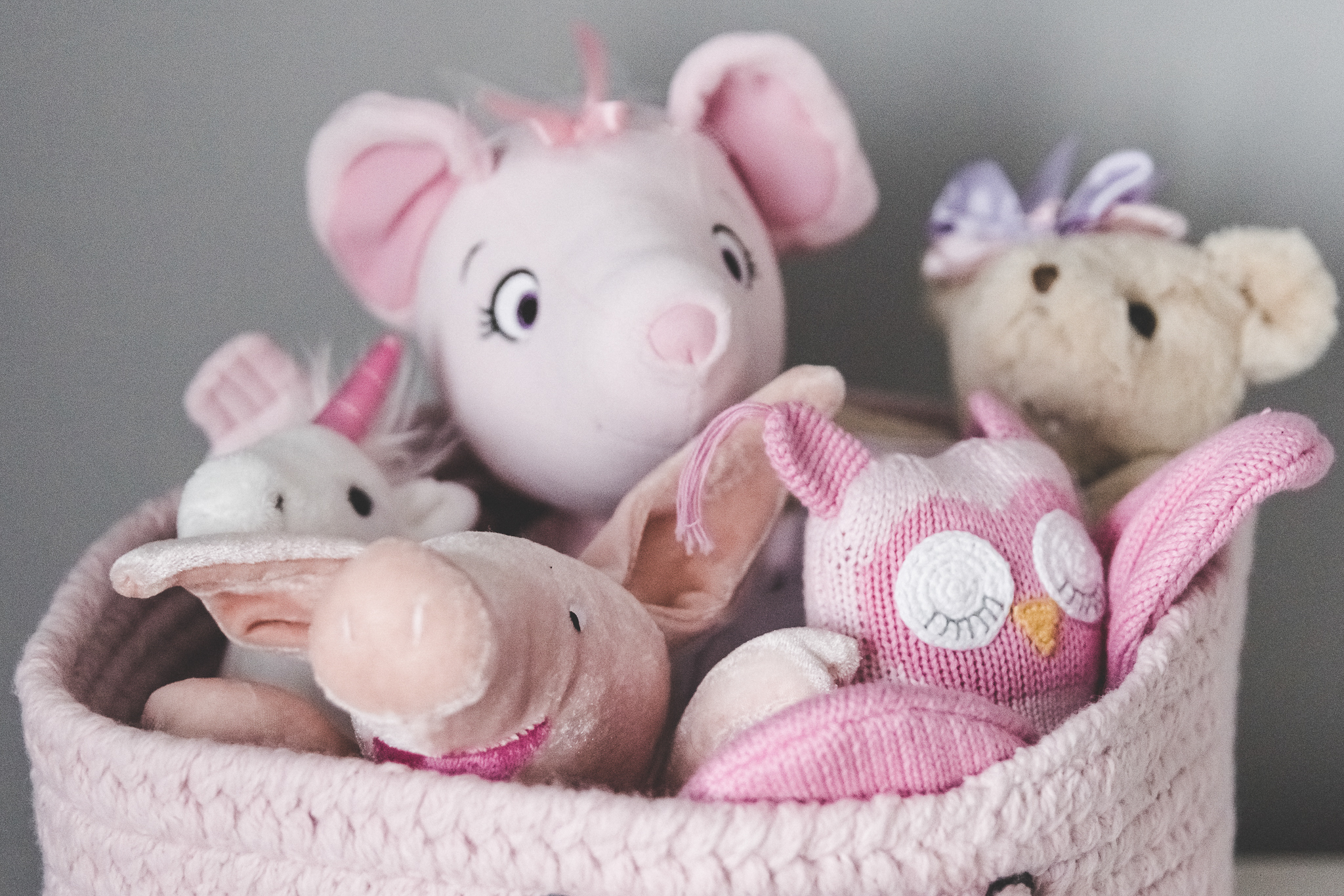 girls birthday gift stuffies in a basket
