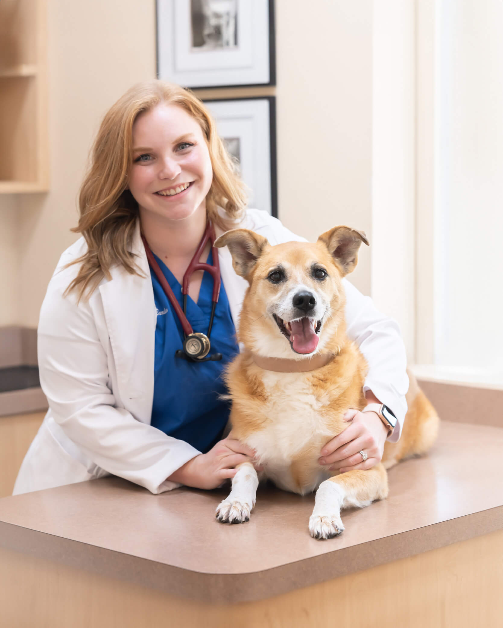 Vet smiling with arm around dog in vet's office 