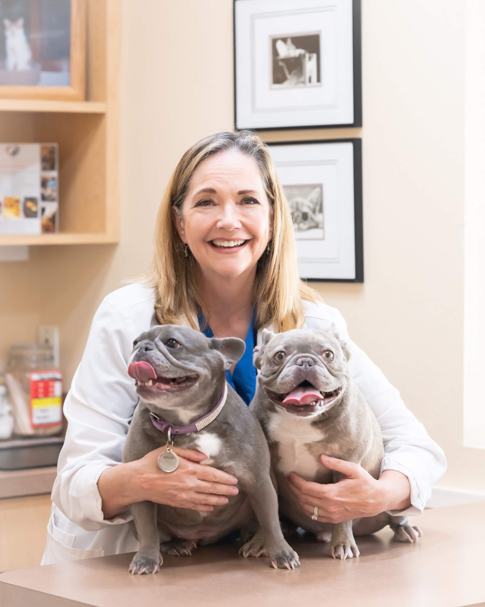 Vet owner with 2 pups on exam table in branding photoshoot captured by Allison Amores Photography