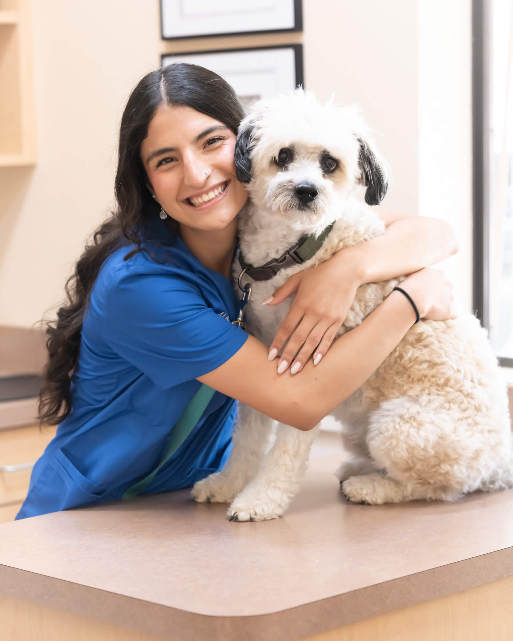 Vet staff wearing blue scrubs hugging dog on an exam table